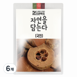 조은약초 자연을 담는다 건조 모과, 600g, 6개, 1개입