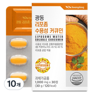 광동제약 리포좀 수용성 커큐민 30g, 30정, 10개