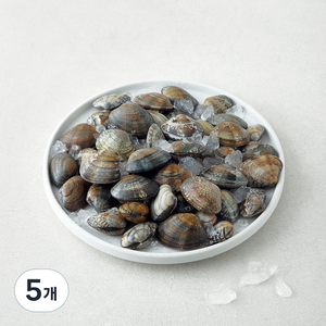 직접 손으로 채취한 서해안 갯벌 참 바지락, 1kg, 5개