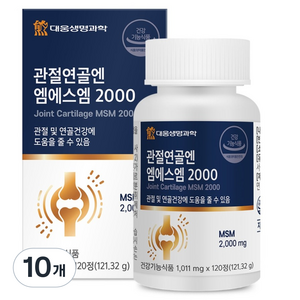 대웅생명과학 관절연골엔 엠에스엠 2000, 120정, 10개