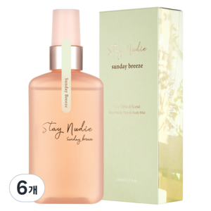 바디홀릭 스테이누디 헤어 앤 바디미스트 선데이 브리즈, 100ml, 6개