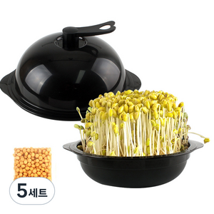 콩나물재배기 + 노란 콩나물콩, 5세트