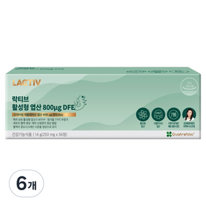 락티브 활성형 엽산 800μg DFE 14g, 56정, 6개