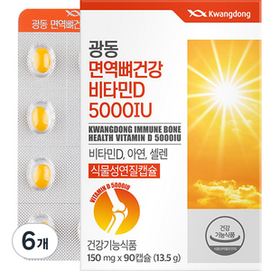 광동 면역 뼈건강 비타민D 5000IU 13.5g, 90정, 6개