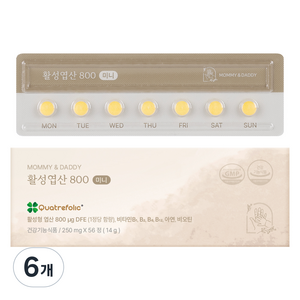 마미앤대디 활성엽산 800 미니 14g, 56정, 6개
