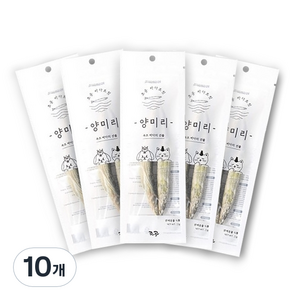 조공 반려동물 바다트릿 동결건조간식, 양미리, 15g, 10개