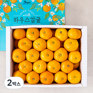 감귤상회 당도선별 감귤 세트, 3kg, 2박스