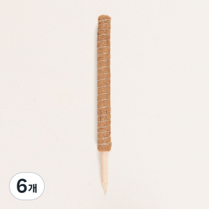 플레노 코코봉 식물지지대 우드 일반형 60cm, 6개