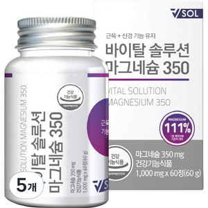 브이솔 바이탈솔루션 마그네슘 350 60g, 60정, 5개