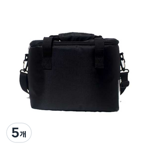 에이케이라온 CP-250/CP-150 전용 투광기 수납 가방, 5개
