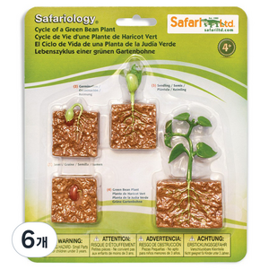 사파리엘티디 피규어 662416 콩의생장과정 Life Cycle of a Green Bean Plant, 6개