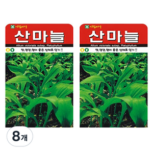 아람종묘 산마늘 씨앗, 8개