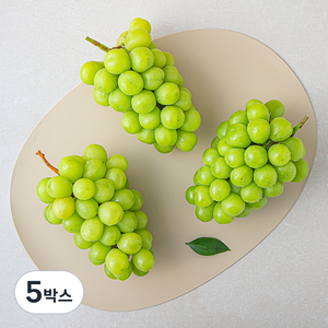 새벽경매 샤인머스켓 3~4수, 5박스, 2kg