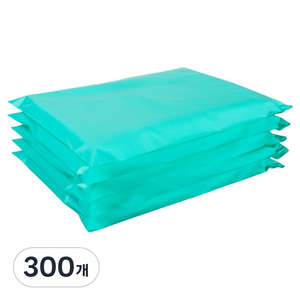 혜림봉투 HDPE 택배 봉투 민트, 300개