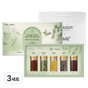 꽃을담다 알디프 러블리 포레스트 허브티 5종 선물세트 + 쇼핑백, 3세트