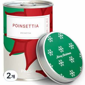PRESH 소이 캔들 향초 미디엄, POINSETTIA 포인세티아, 220g, 2개
