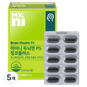 마이니 두뇌엔 PS 징코플러스 48g, 5개, 60정