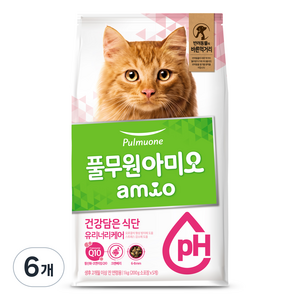 풀무원아미오 고양이 건강담은 식단 기능성 사료, 유리너리+결석, 1kg, 6개