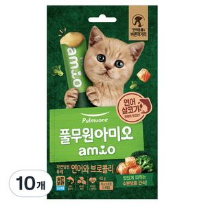 풀무원아미오 자연담은퓨레 연어와 브로콜리, 혼합맛(연어/브로콜리), 40g, 10개