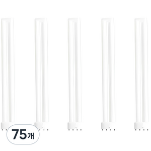 오스람 콤팩트 형광램프 Dulux L 36W, 75개, 백색