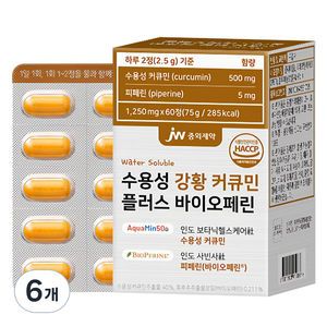JW중외제약 수용성 강황 커큐민 플러스 바이오페린 60p, 75g, 6개