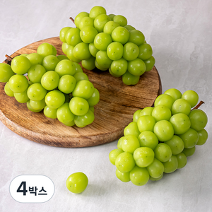 산지직송 아주마 비파괴 당도선별 영동 상주산 샤인머스켓, 2kg, 4박스