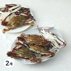 위드프레쉬 국내산 산지직송 생물 꽃게 (냉장), 2개, 2kg