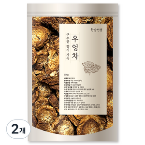 한방선생 볶은 우엉, 500g, 1개입, 2개