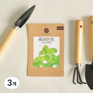 프레시가든 허브씨앗 페퍼민트, 3개