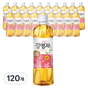 웅진 광명찾은 결명자차, 500ml, 120개