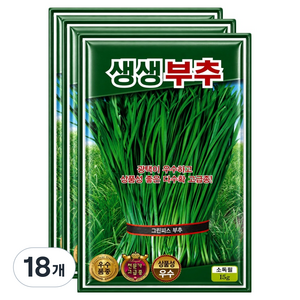 씨앗팜 생생 부추 씨앗 15g, 18개