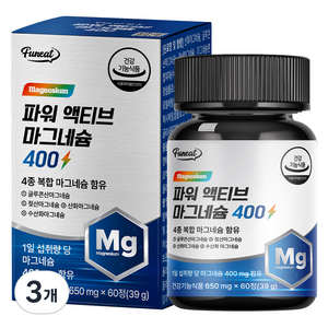 퍼니트 파워 액티브 마그네슘 400 39g, 3개, 60정