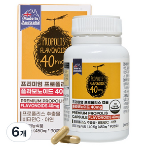 제너럴라이프 프리미엄 프로폴리스 캡슐 플라보노이드 40mg 40.5g, 6개, 90정