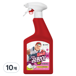 홈스타 뿌리는 곰팡이 싹 후로랄향 세정제, 750ml, 10개