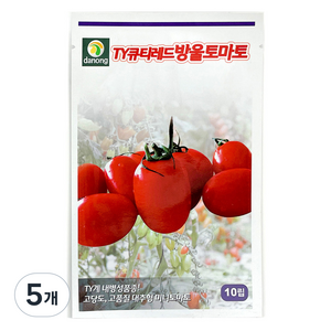 다농 TY 큐티 레드 방울 토마토 씨앗 10p, 5개
