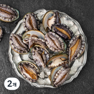 다복 청정바다를 담은 활전복, 1kg(중13~14미), 2개
