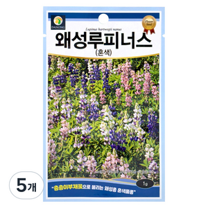 다농 왜성루피너스 혼색 씨앗 1g, 5개