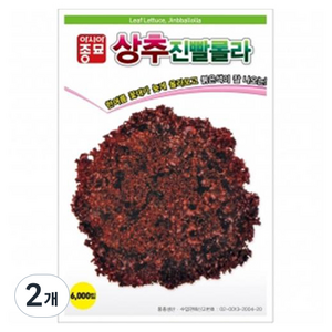 아시아종묘 상추 진빨롤라 씨앗 6000립, 2개