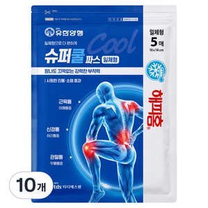 해피홈 슈퍼쿨파스 일체형, 10개, 5개입