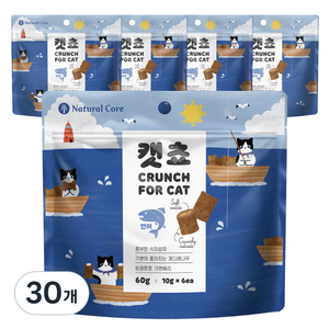 네츄럴코어 캣쵸 고양이간식, 연어, 60g, 30개