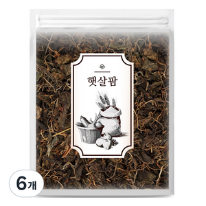 햇살팜 국산 건고추잎, 100g, 6개