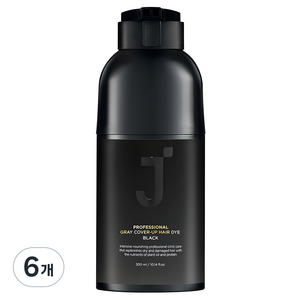 제이숲 프로페셔널 커버업 새치 염색제 300ml, 블랙, 6개