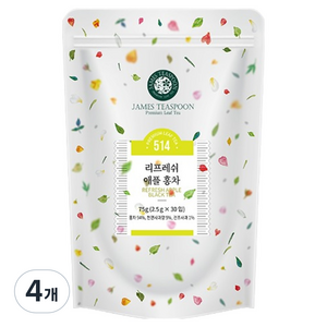 제임스티스푼 리프레쉬 애플 홍차, 2.5g, 4개, 30개입