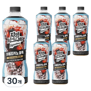 시그니처 쟈뎅 로스티크 아메리카노 블랙, 900ml, 30개