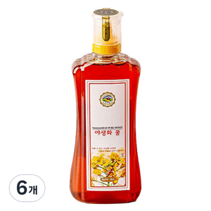 산내들농원 국산 프리미엄 야생화꿀, 500g, 6개