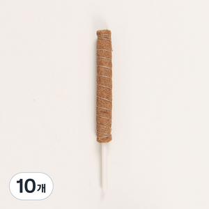 플레노 코코봉 식물지지대 플라스틱 슬림형 40cm, 10개