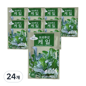 프레시가든 케일 채소씨앗, 24개