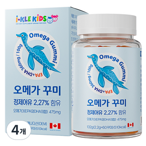 아이클키즈 유아 오메가 꾸미, 60정, 4개