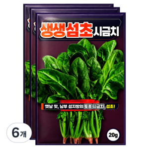 씨앗팜 생생 섬초 시금치씨앗, 6개