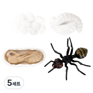 캐스비 네이처 성장과정 피규어 개미 세트, 5세트